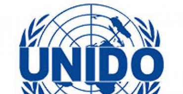 Стандарты ООН (UNIDO) по составлению бизнес-плана
